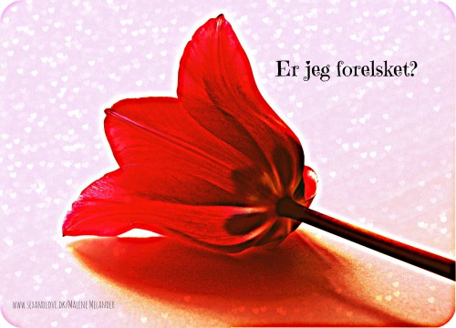 er jeg forelsket