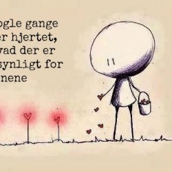 nogle gange ser hjertet, hvad der er usynligt for øjnene
